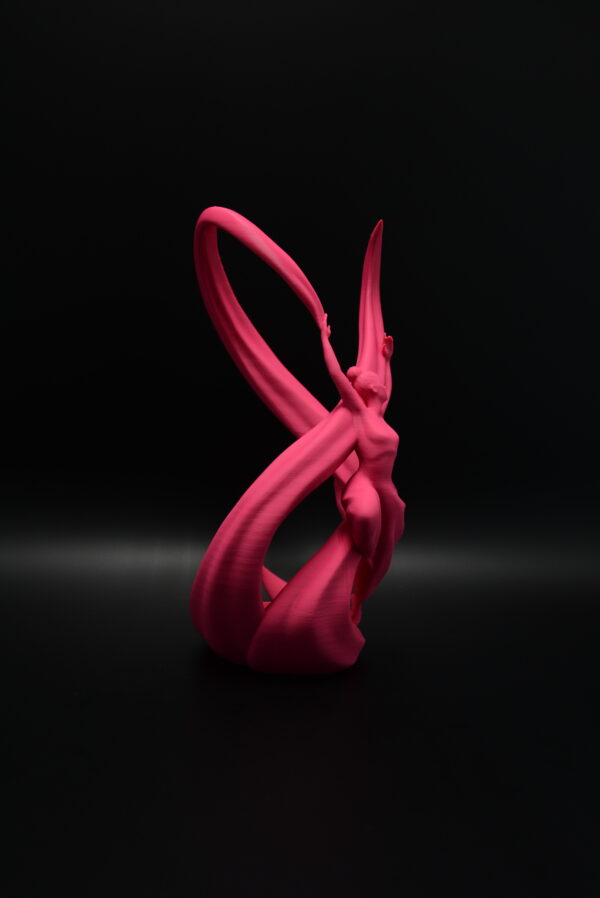 DSC_0502 Ballerina Wijnhouder