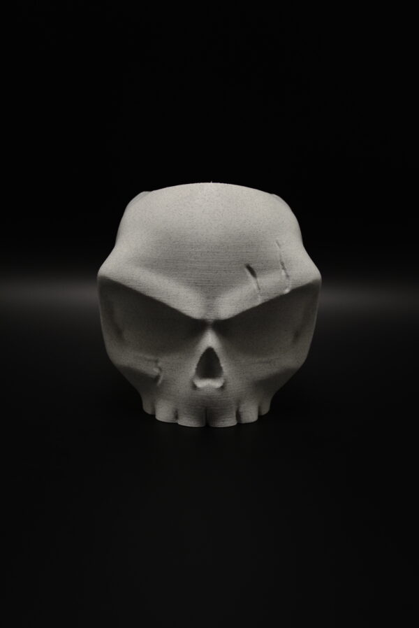 DSC_0253 Angry Skull Bloempot