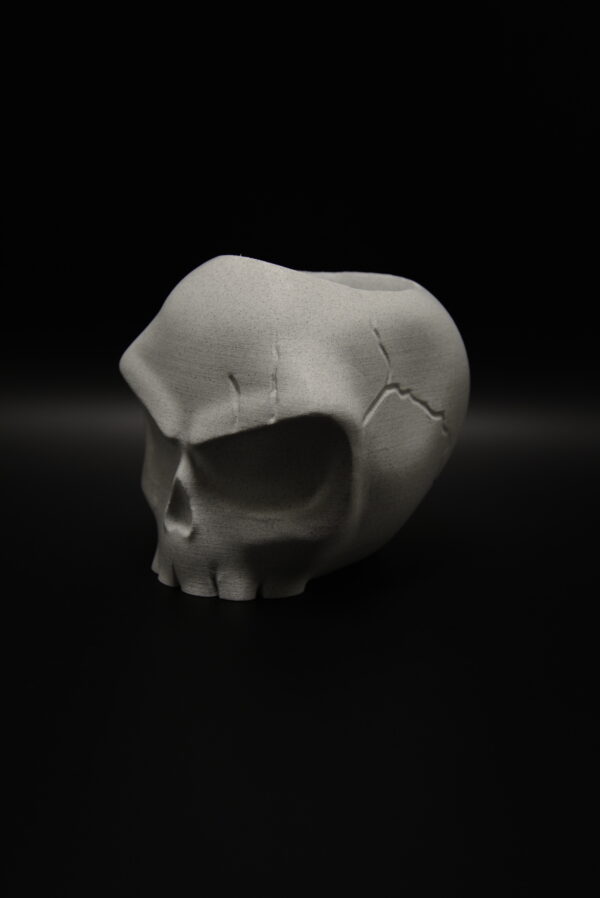 DSC_0254 Angry Skull Bloempot