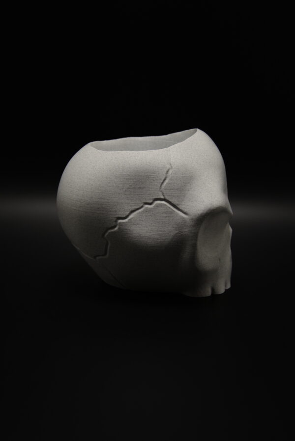 DSC_0257 Angry Skull Bloempot