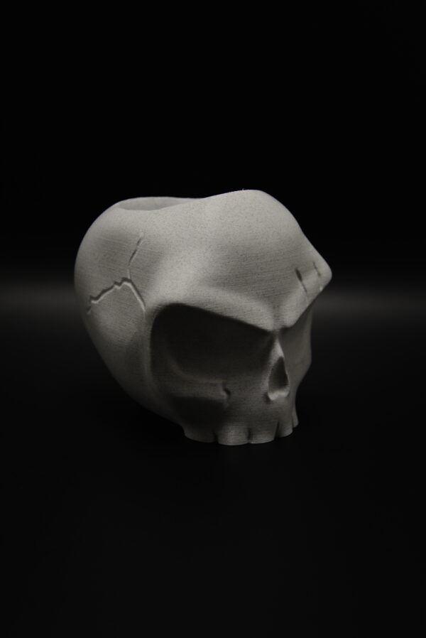 DSC_0258 Angry Skull Bloempot