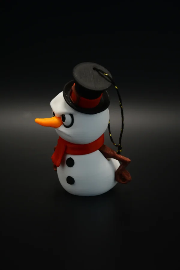 DSC_0851 Mr Frosty
