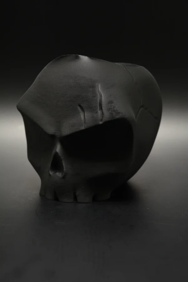 DSC_0881 Angry Skull Bloempot