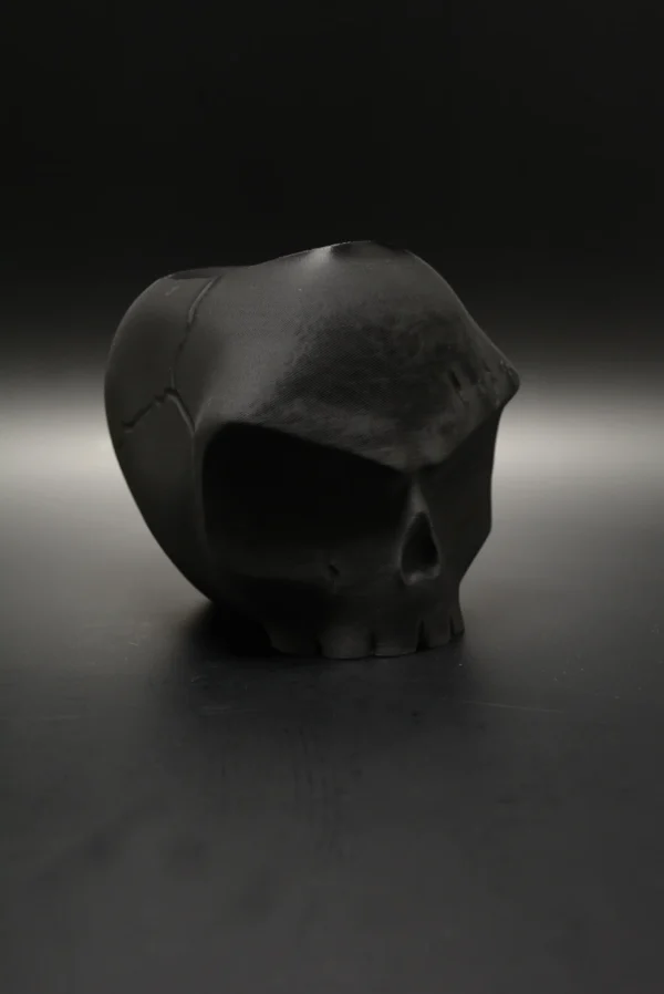 DSC_0883 Angry Skull Bloempot