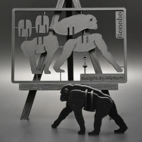 Kit Card Bonobo Kit Card Bonobo