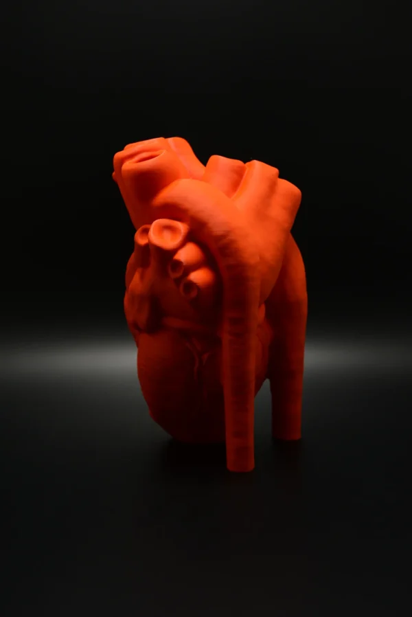 Realistic Heart Vaas