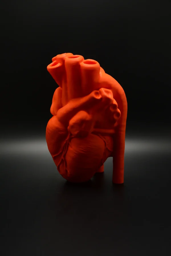 Realistic Heart Vaas