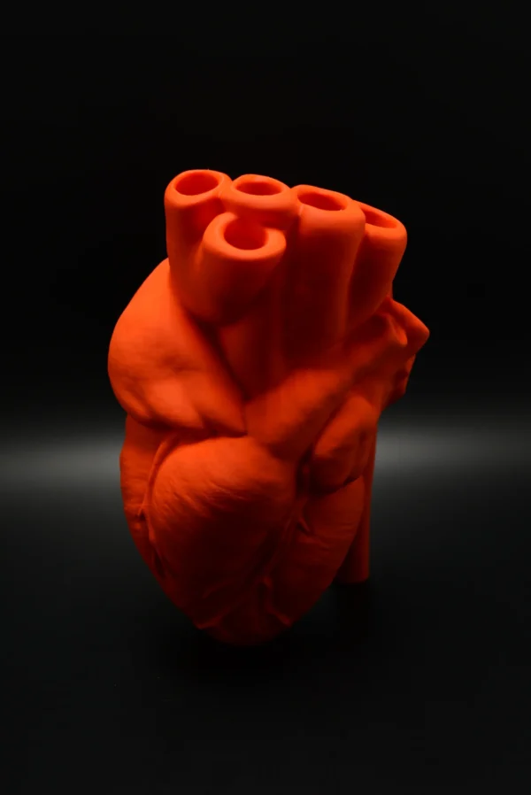 Realistic Heart Vaas