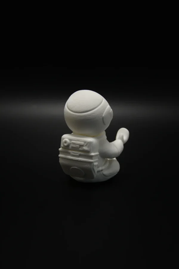 DSC_0421 Astronaut Brilhouder